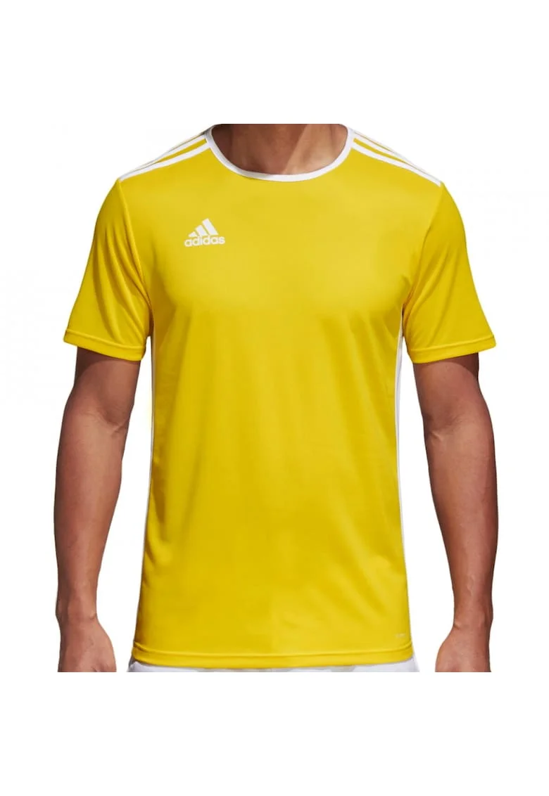 Tricou  Entrada 18 barbati, Galben