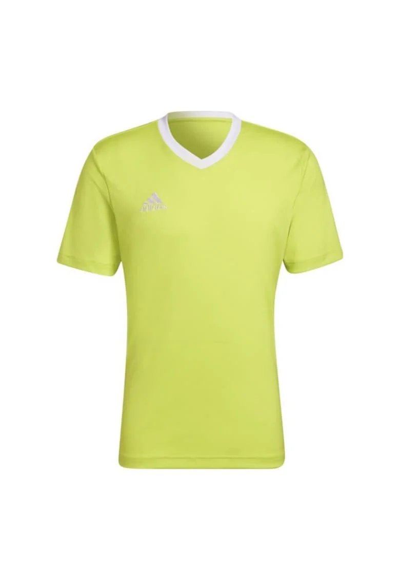 Tricou barbati,  Poliester, Verde, Verde