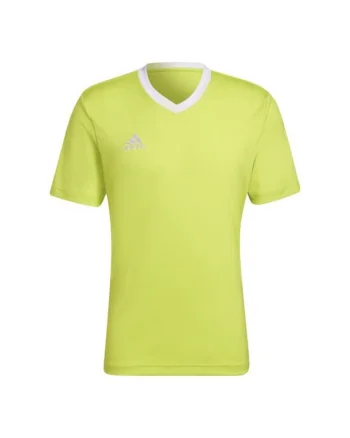 Tricou barbati,  Poliester, Verde, Verde
