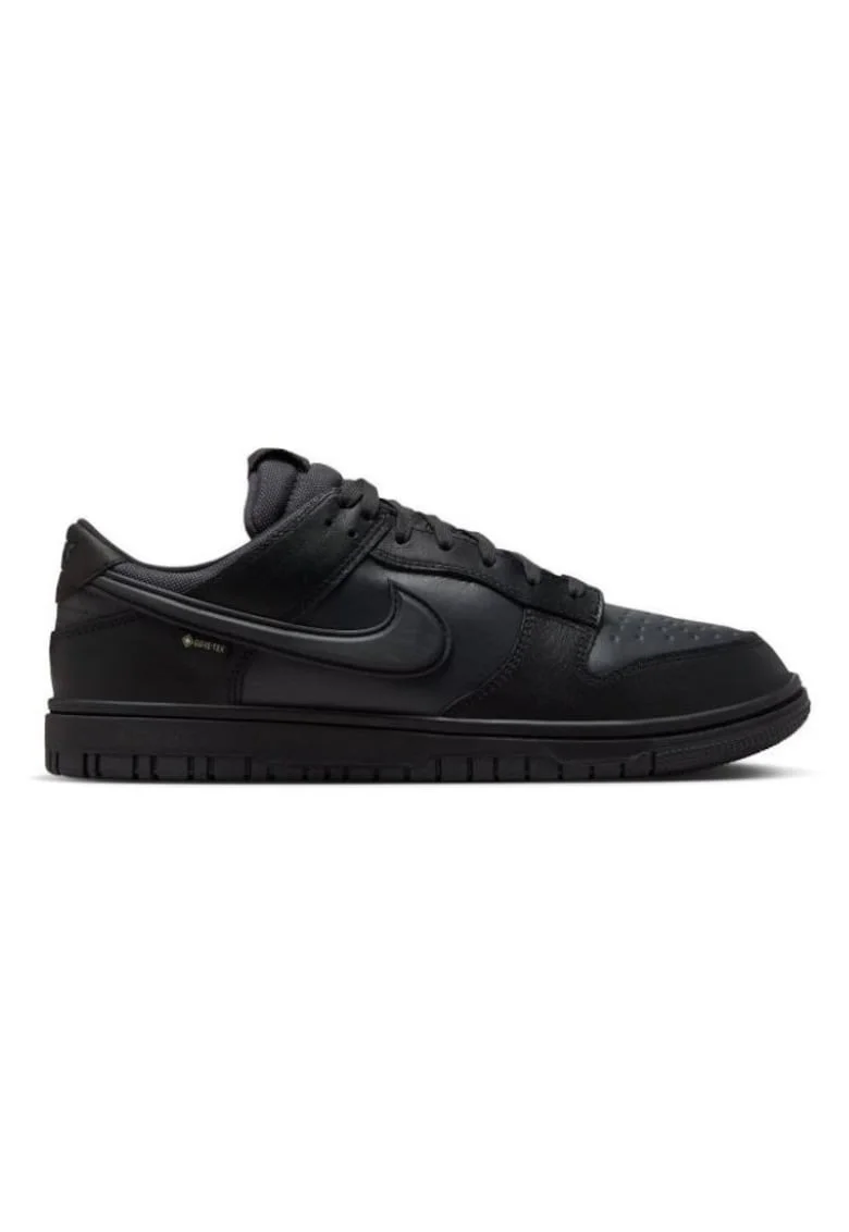 Pantofi sport  DUNK LOW GTX-HQ2053-001