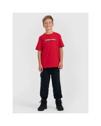 Pantaloni sport baieti,  din bumbac, bleumarin