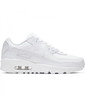 Pantofi Sport  air max 90 ltr (gs) CD6864-100