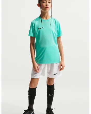 Tricou cu tehnologie Dri Fit si maneci raglan pentru fotbal Park VIII, Verde deschis