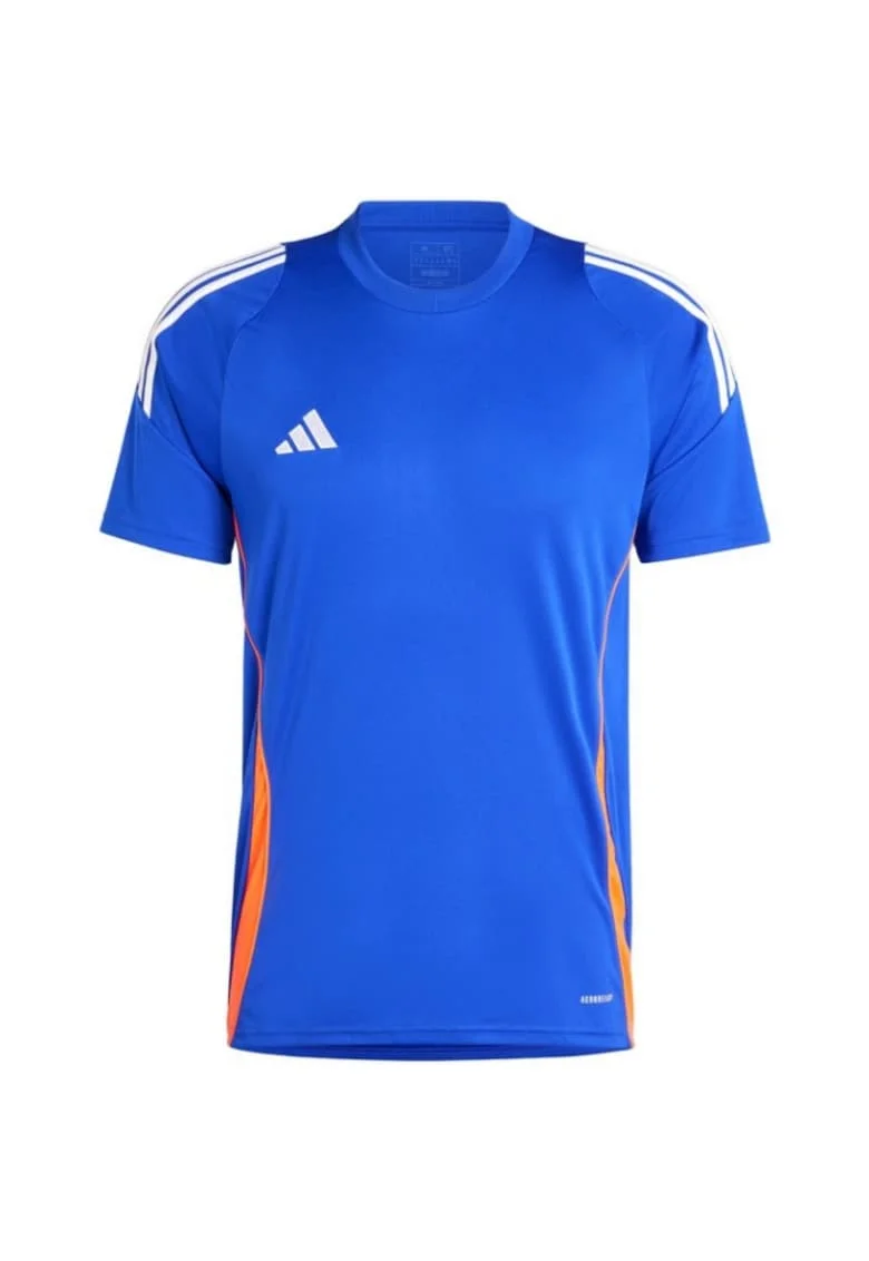 Tricou sport barbati,  Teamwear24, Albastru