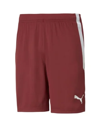 Pantaloni sport barbati,  Teamliga, rosu, material respirabil