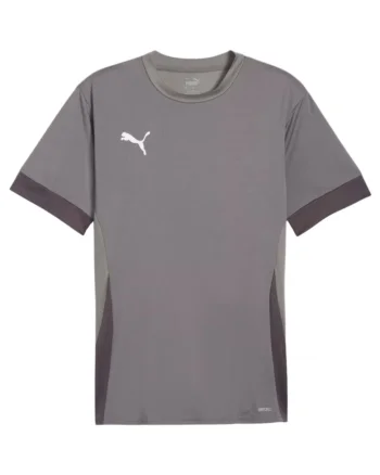 Tricou sport barbati,  Teamgoal Matchday, gri, material respirabil