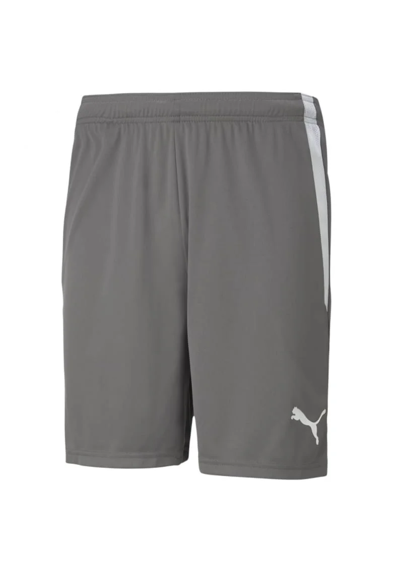 Pantaloni sport barbati,  Teamliga, gri