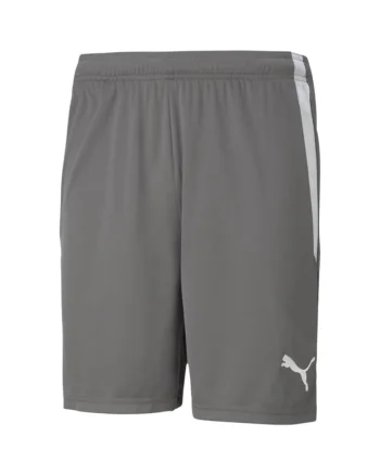 Pantaloni sport barbati,  Teamliga, gri