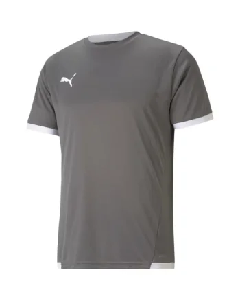 Tricou sport barbati,  Teamliga, gri