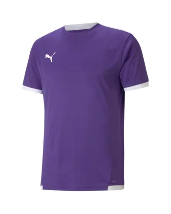 Tricou sport barbati,  Teamliga, violet, material respirabil