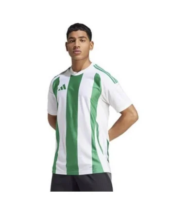 Tricou sport barbati,  Teamwear24, alb-verde, poliester