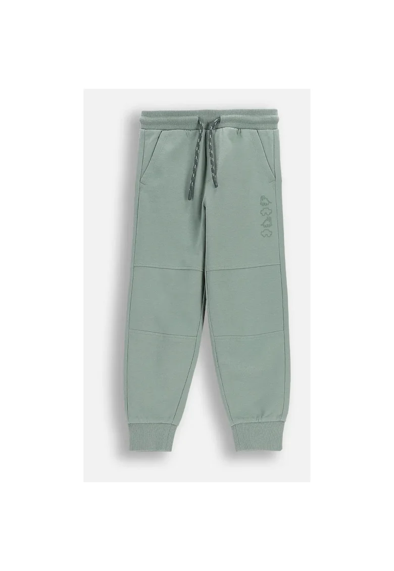 Pantaloni trening  verzifadsfefwfew, Verde