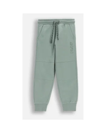 Pantaloni trening  verzifadsfefwfew, Verde