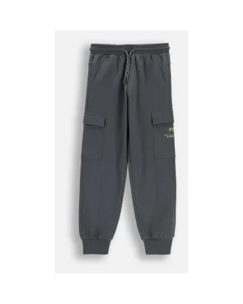 Pantaloni fwqdqwfwqff, Gri