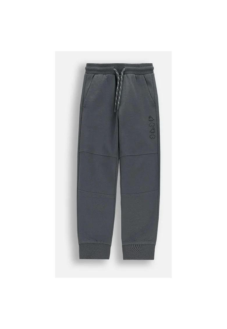 Pantaloni  grafit, motiv dinozauridwqfwq, Gri grafit