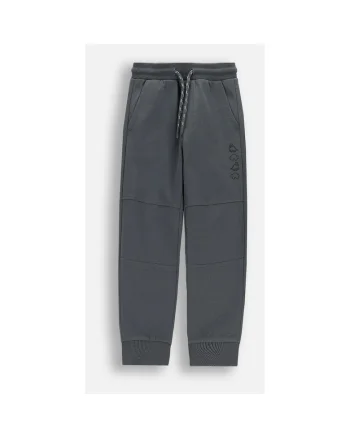 Pantaloni  grafit, motiv dinozauridwqfwq, Gri grafit