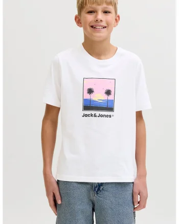 Tricou din bumbac cu decolteu la baza gatului si imprimeu, Alb/Roz pastel/Negru stins/Albastru royal