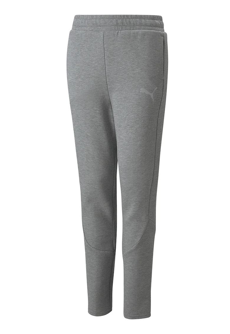 Pantaloni de trening cu croiala conica Evostripe, Gri cenusiu