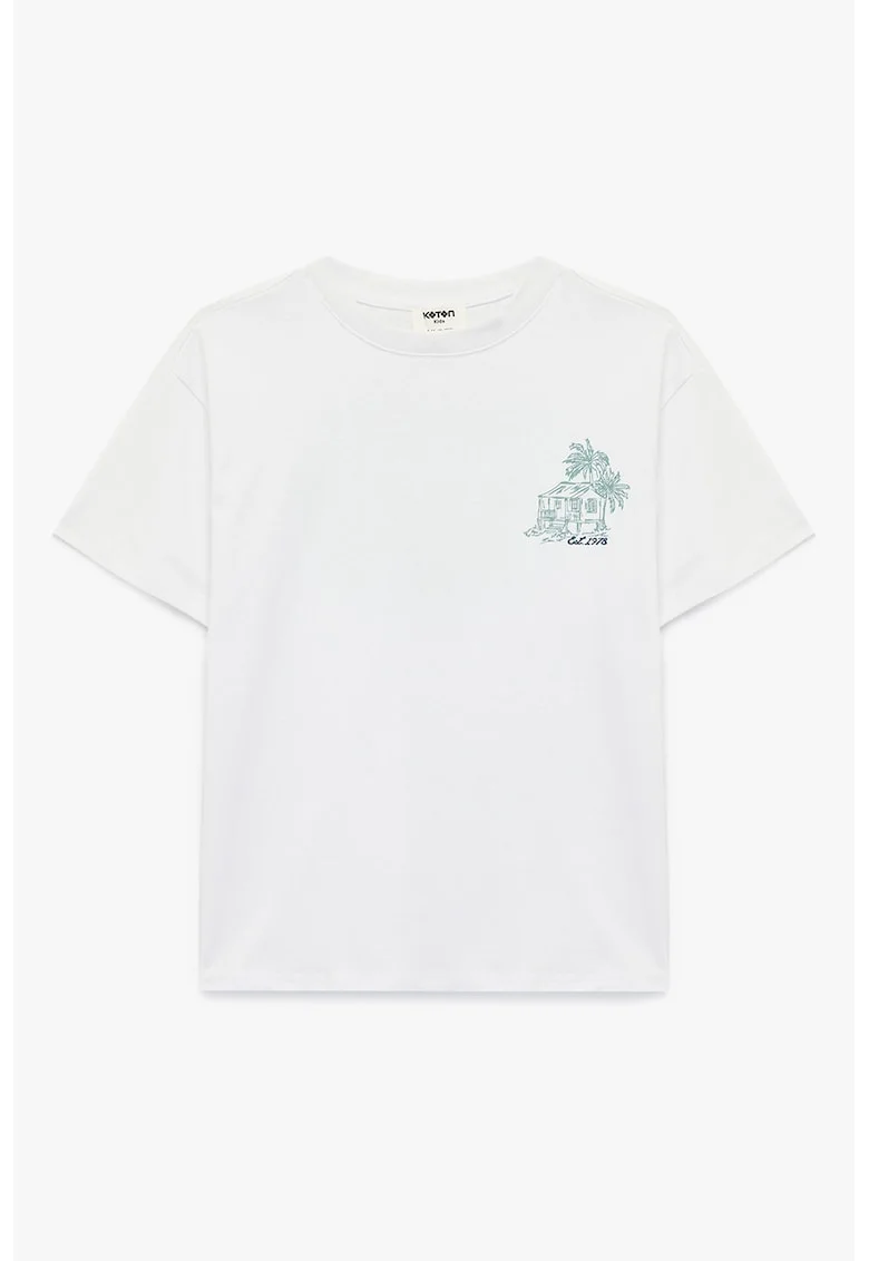 Tricou de bumbac cu imprimeu text si grafic, Verde pal/Alb murdar