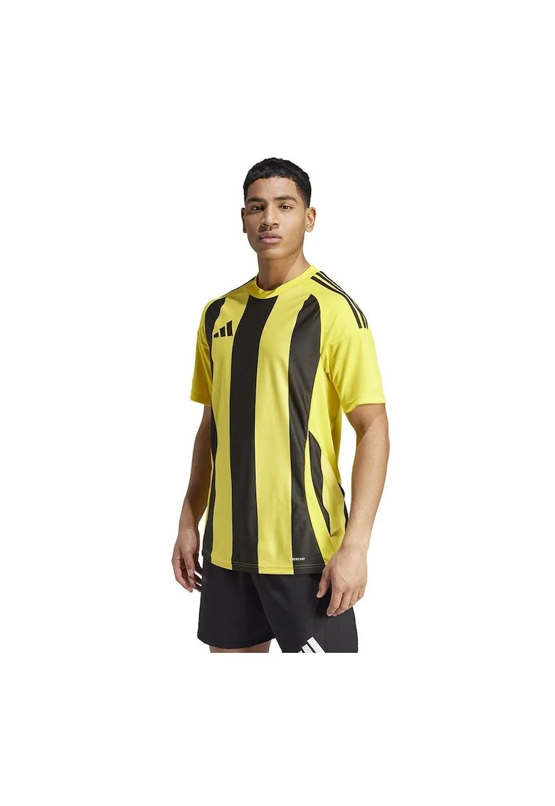 Tricou sportiv barbatesc  Striped 24 Jersey, galben-negru, poliester reciclabil, Negru/Galben