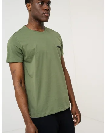 Tricou regular fit de casa cu logo, Verde feriga