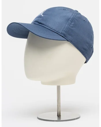 Sapca cu detaliu brodat, pentru baschet Jan Jordan Essentials, Alb/Albastru prafuit