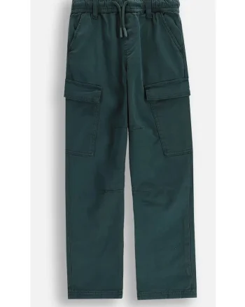 Pantaloni cargo,  ZC5119101ABJ-011, slim fit, bumbac, verde