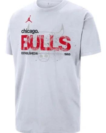 Tricou  CHI M NK CTS STMT JDN 85 TEE-IF4523-100