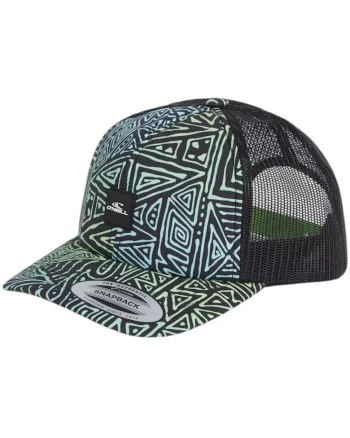 Sapca copii  FLOOD TRUCKER SS 2025, Multicolor