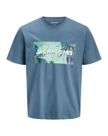 Tricou JACK &JONES Indiana SS LN 59835, Albastru