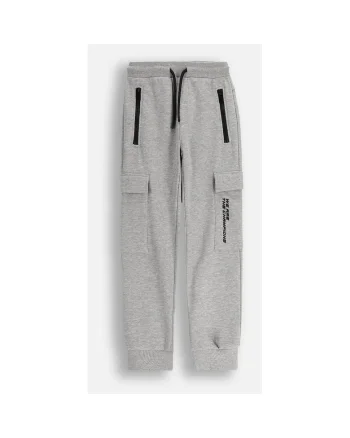 Pantalon Trening ZC5120101CBJ-011, Gri