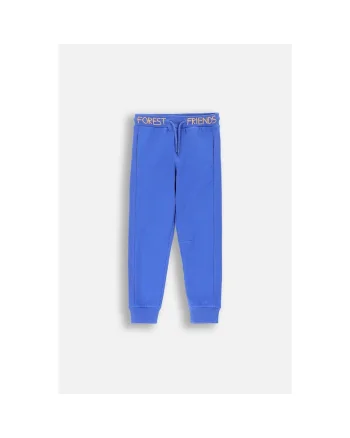 Pantaloni sport cu talie ajustabila, Albastru