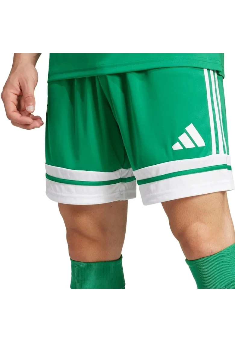 Pantaloni  Squadra 25 barbati, Verde | Alb