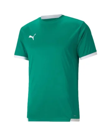 Tricou sport barbati,  Teamliga, verde, material respirabildwqfwqd, Verde