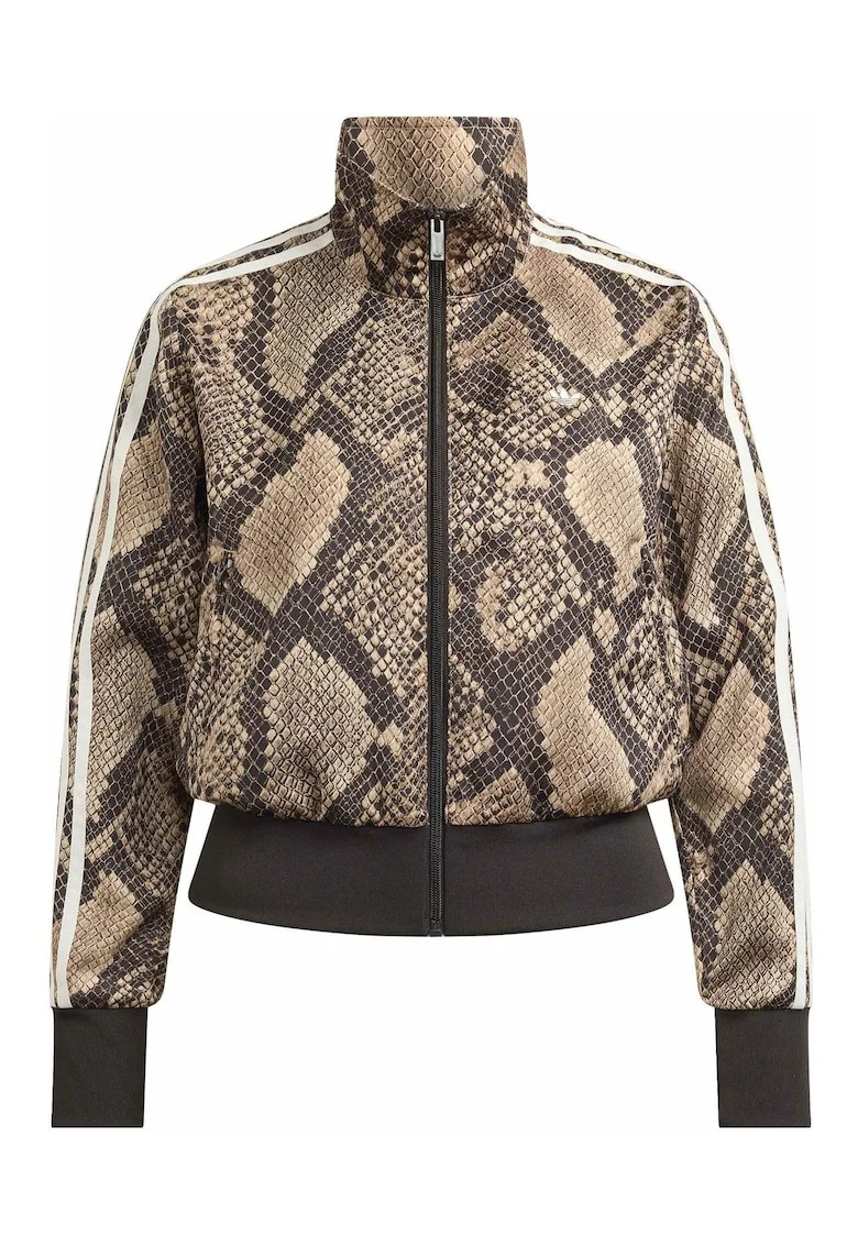 Bluza trening  Stn Fb Tt KX1885 Femei Multicolor, Multicolor