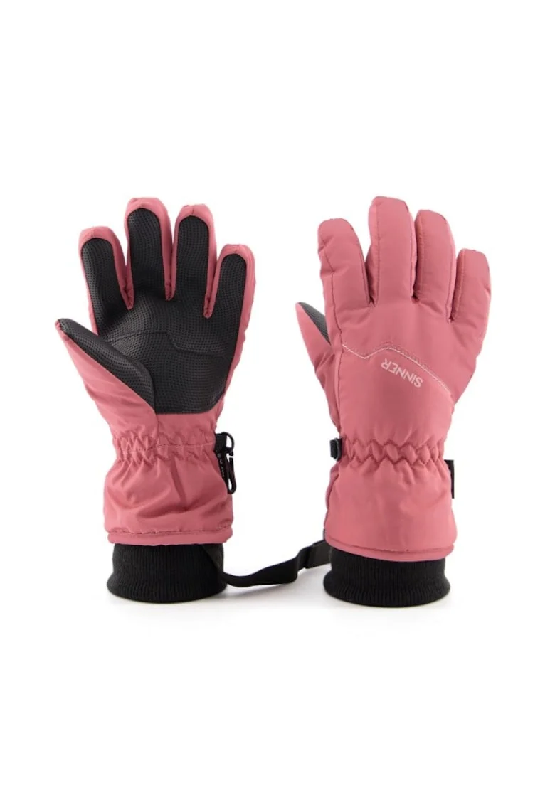 Manusi Ski si Snowboard  Phoenix Glove, Roz
