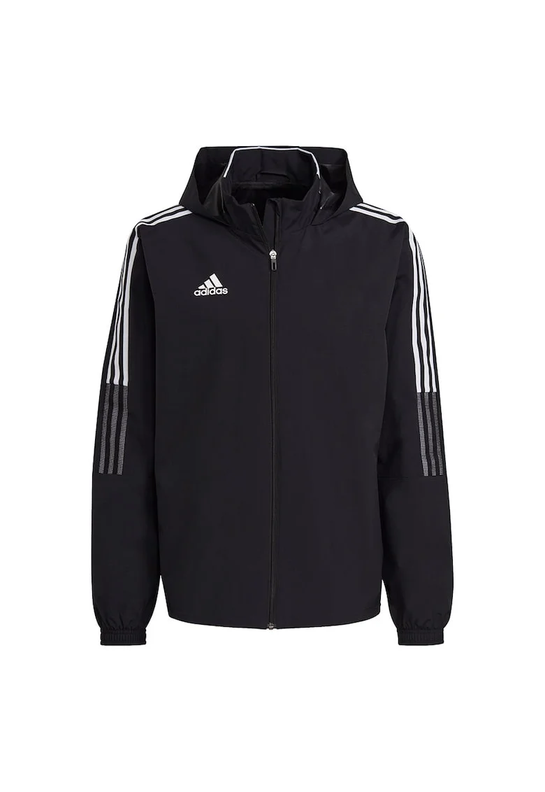 barbati,  Negru - 68465, Negru
