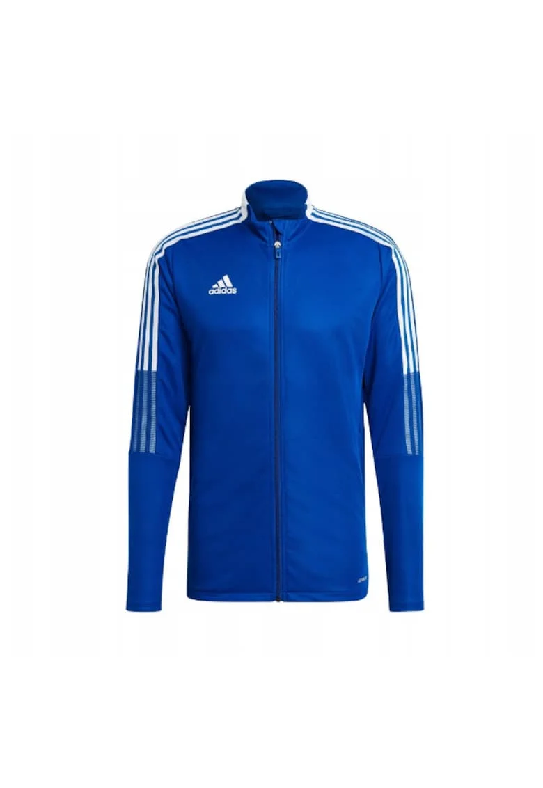 Bluza trening barbati,  Poliester, Albastru/Alb, Alb/Albastru deschis
