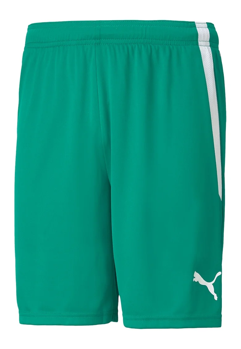 Pantaloni scurti pentru fotbal teamLIGA, Verde