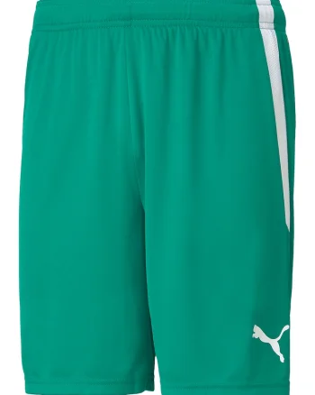Pantaloni scurti pentru fotbal teamLIGA, Verde