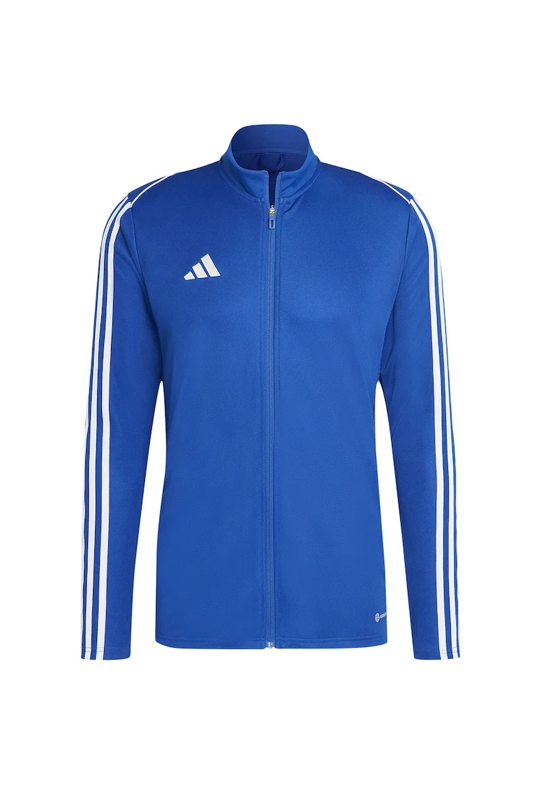 sport barbati  Poliester, 65499, Albastru