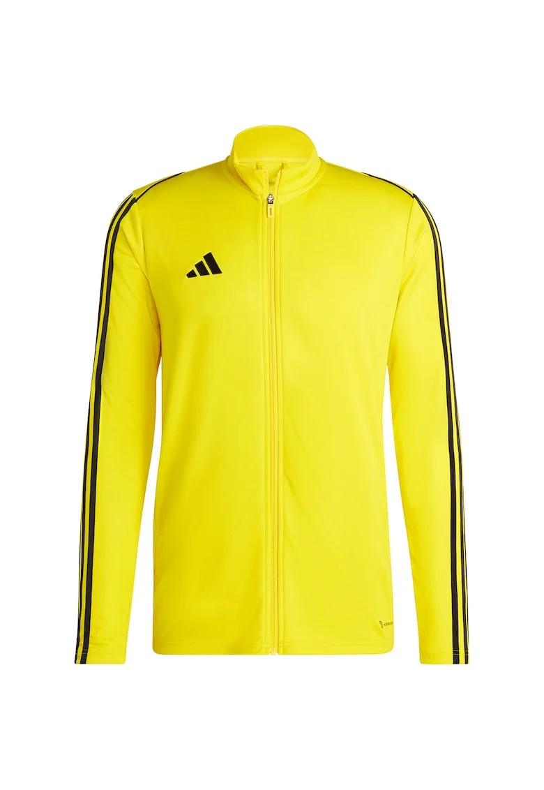 Bluza sport barbati,  Fotbal, Galben, Galben