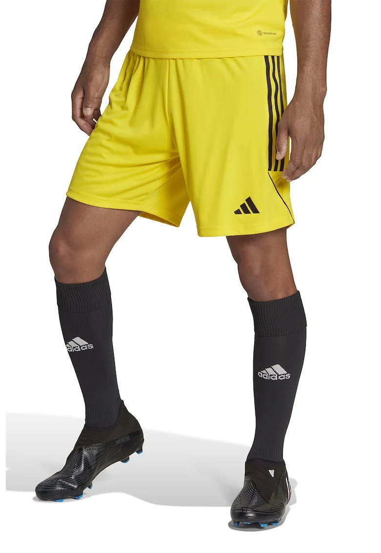 Pantaloni scurti pentru pentru fotbal Tiro 23, Galben