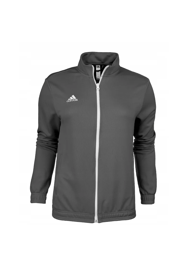 Bluza sport dama,  Bumbac, Gri, Gri