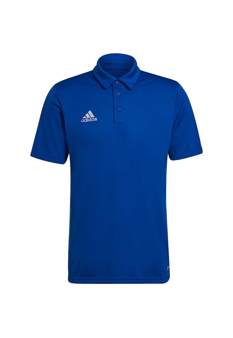 Tricou barbati,  Poliester, Albastru, Albastru