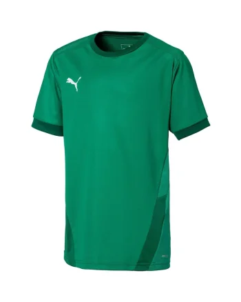 Tricou copii  Teamgoal 23 Jersey Jr, Verde