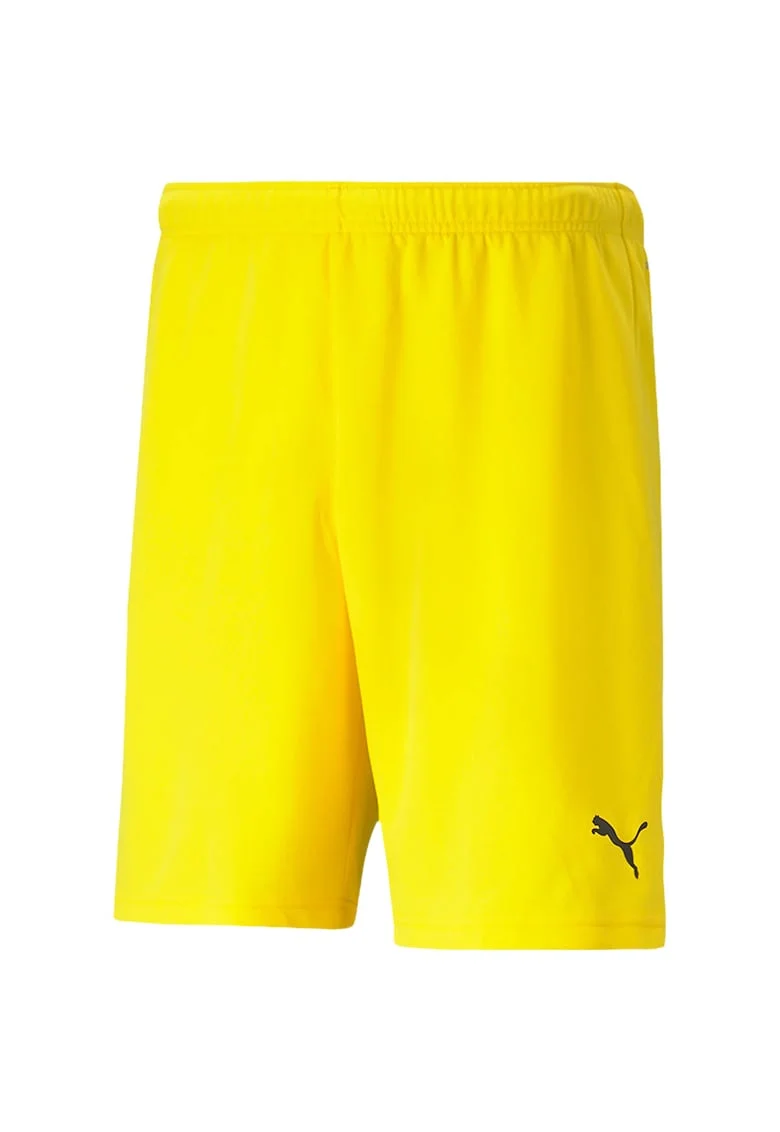 Pantaloni scurti barbati,  TeamRISE, Galben,