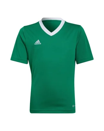 Tricou copii  poliester, verdesadzxf