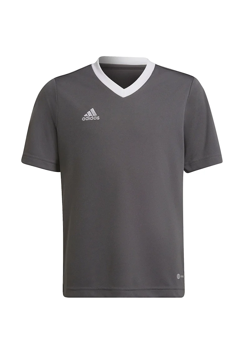 Tricou copii,  Entrada 22, gri
