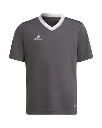 Tricou copii,  Entrada 22, gri